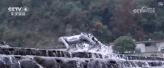 <strong>含“新”量不竭上升 中国外贸质升量稳、</strong>